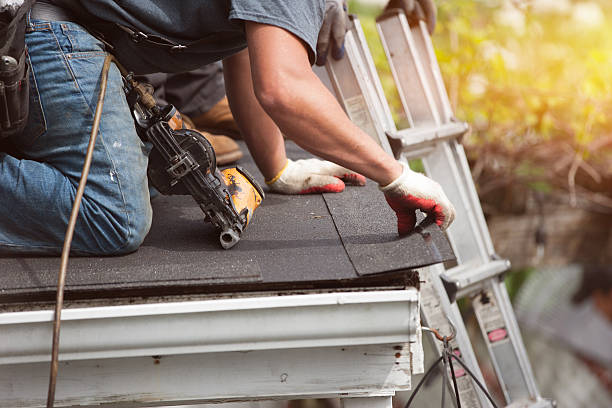 Best Storm Damage Roof Repair  in Ara, AL